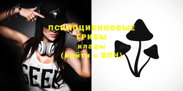 ешки Костерёво