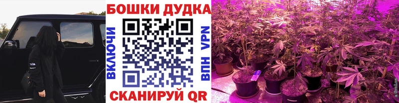 Купить закладки  Печоры  Каннабис LSD WEED 